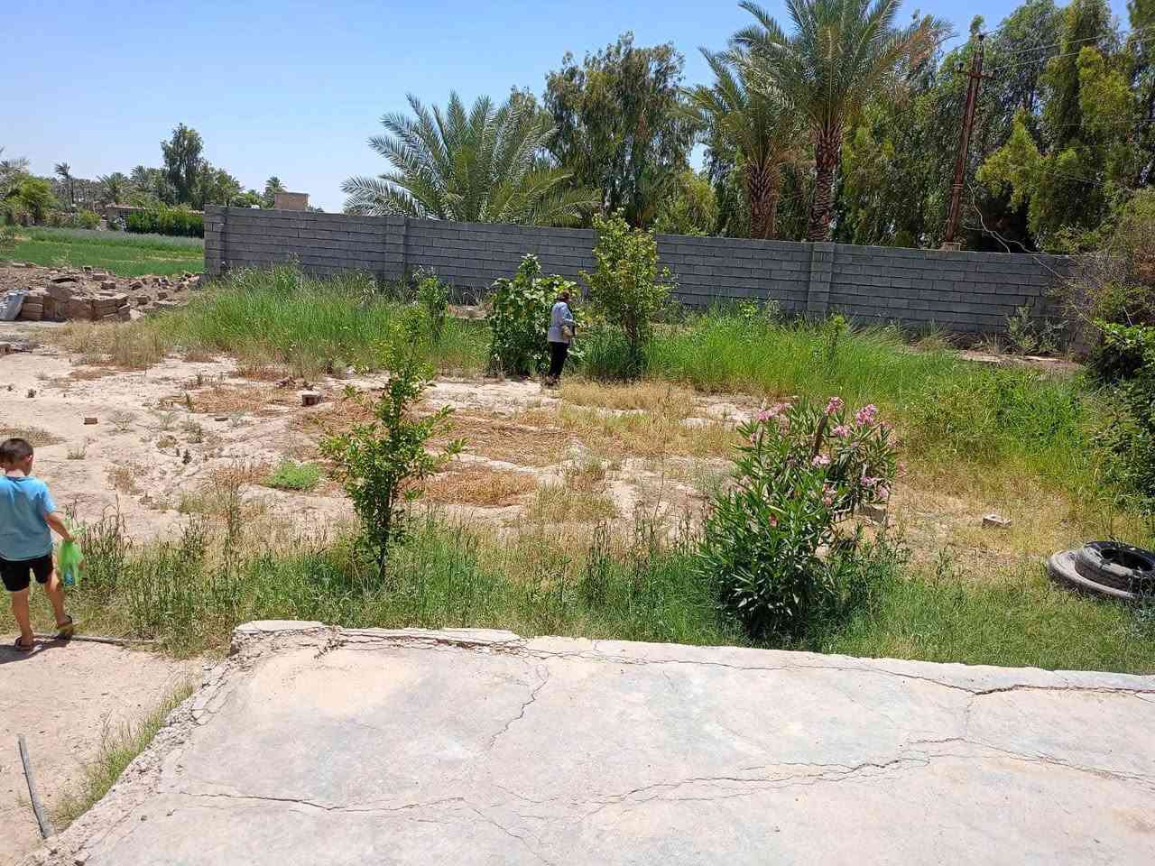 أبو غریب الحمدانيه • دونم بيت ٢٠٠م • سند ٢٥