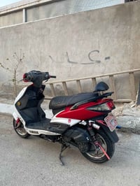 سكنس فحل • مزوعة • كوسو ٣٢