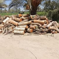 تقطيع أشجار مجاني 07822245258