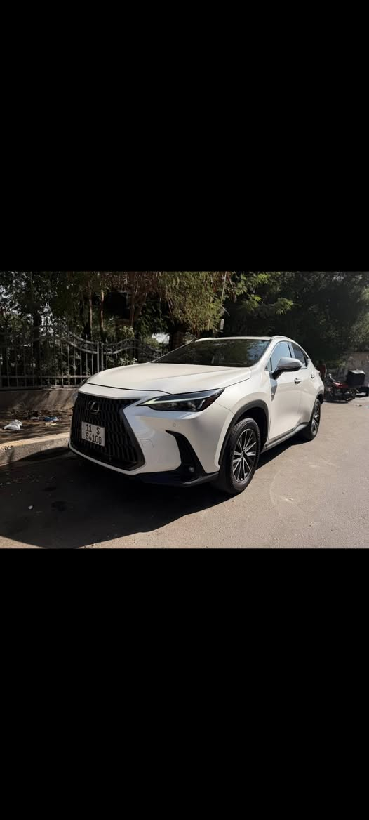 NX 350h • هايبرد • ٣١ الف كم