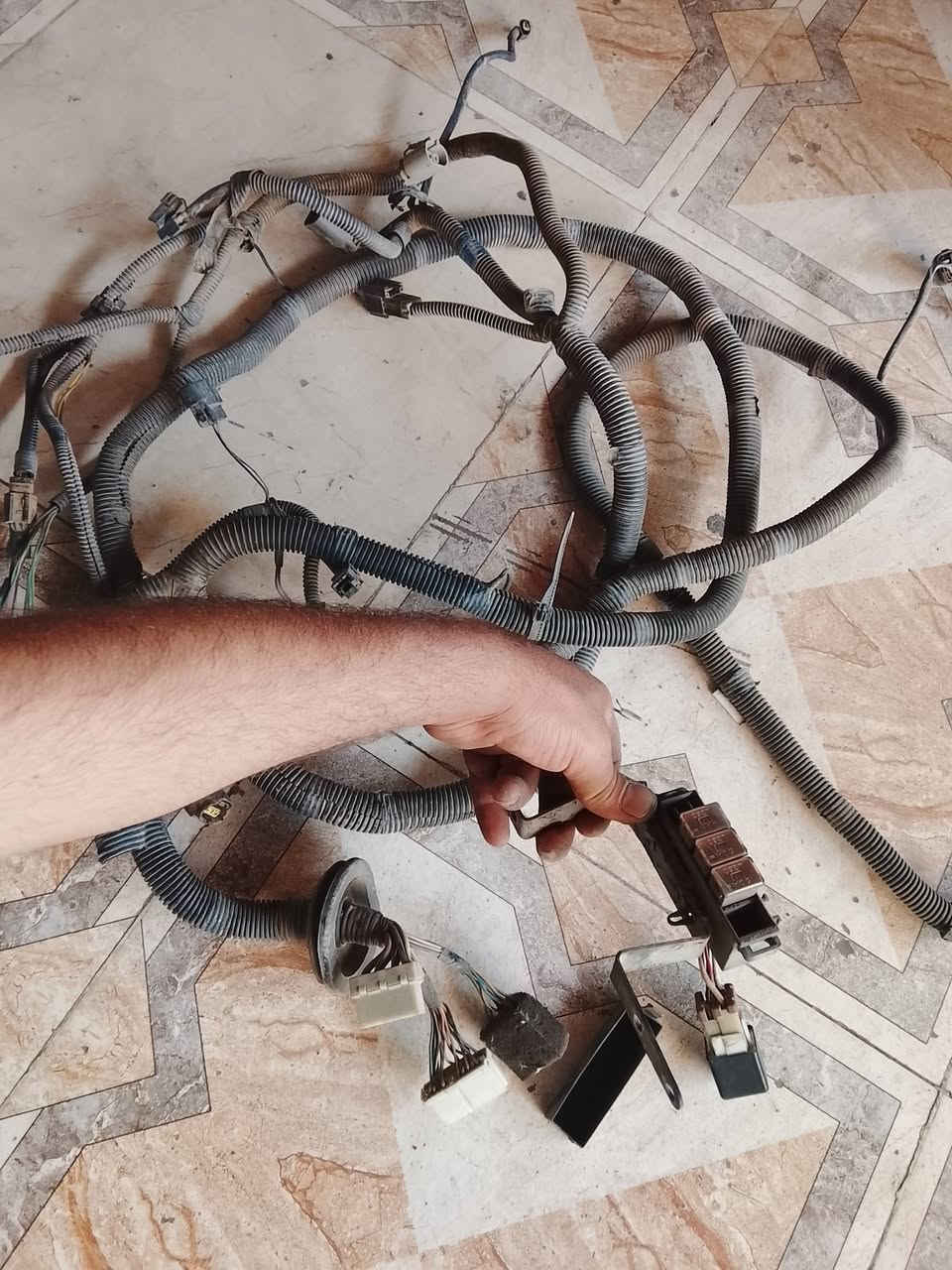 ضفيرة كيا • بلادية • شركة