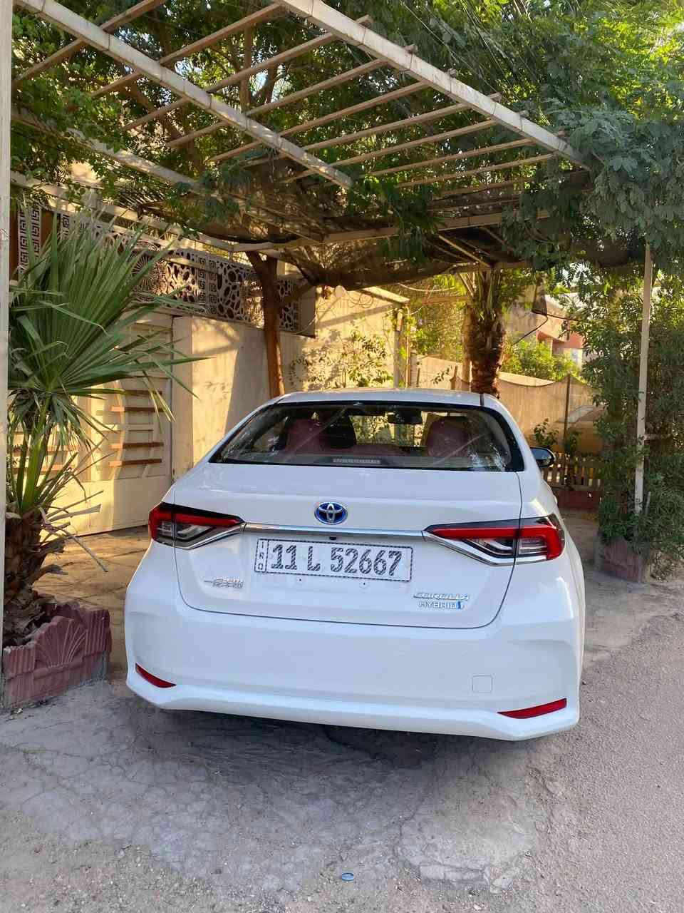 كورلا هايبرد • ٢٠٢٣ • رقم بغداد