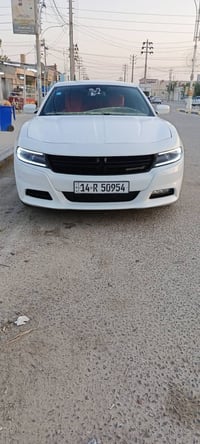 بصره دولي • ٢٠١٥ • كفاله عامه