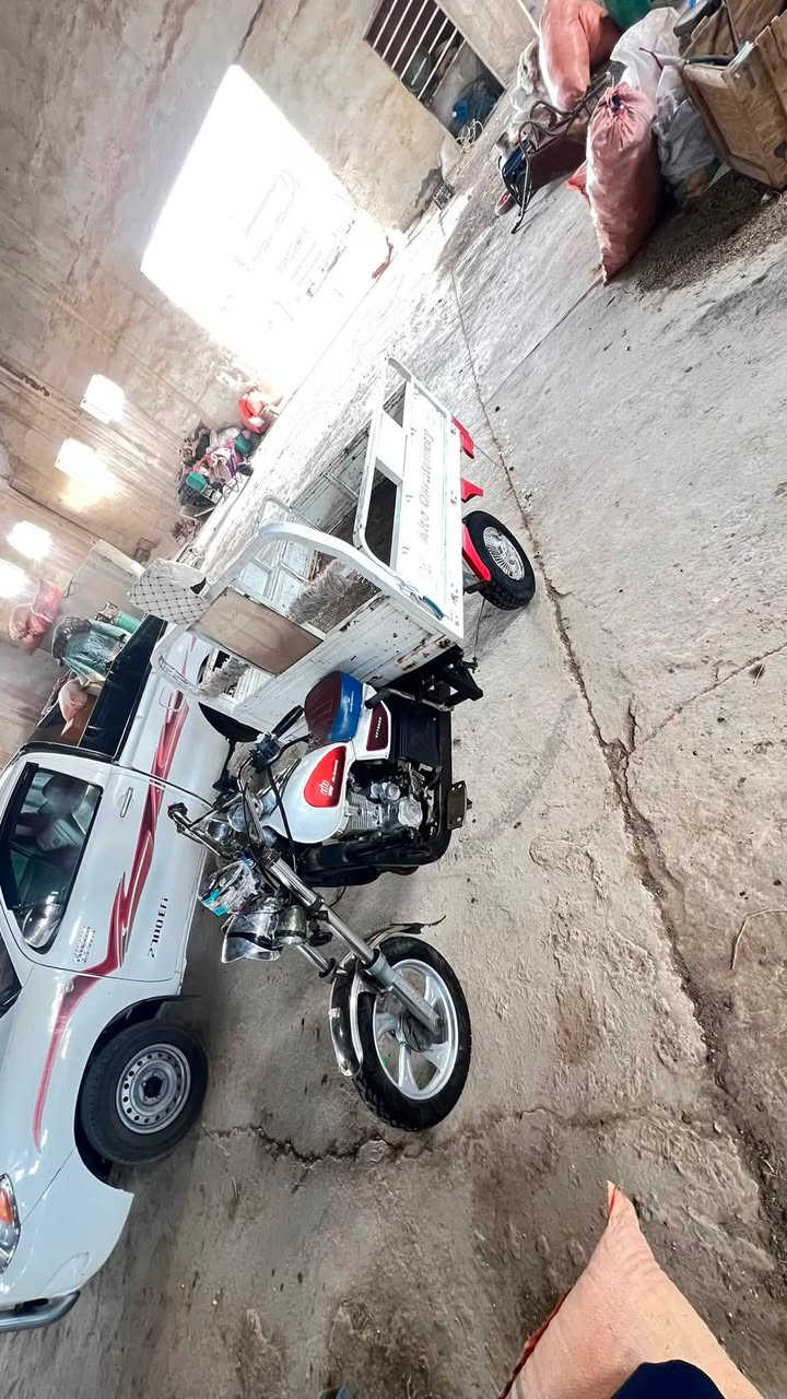 سلام عليكم ستوته لبيع موديل ١٧ فحل عالي ***********

