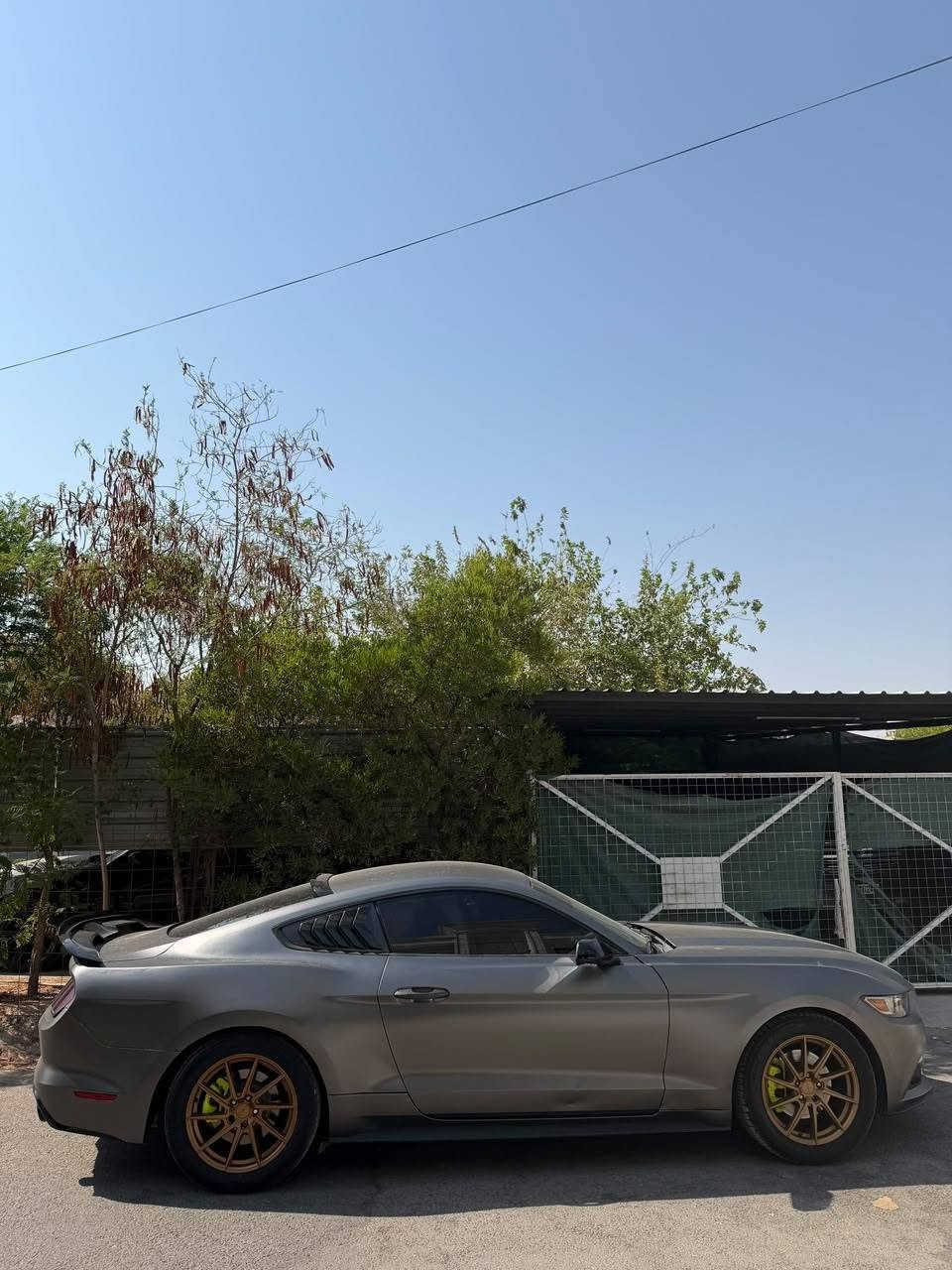 موستانغ • اكوبوست • ٢٠١٦