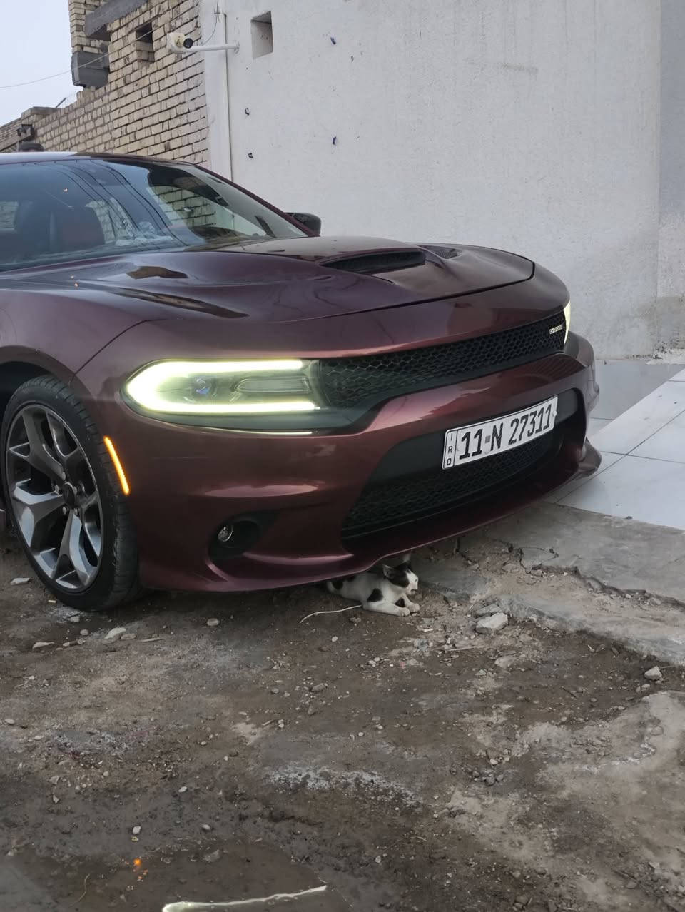 سلام عليكم جارجر RT5700/2018 وارد امريكي حادثهه بجم
عليها شوته رياضي
بنيد 3 فتحات
كزوز اجتي بور تحكم
ملاحضه سياره بيها صبغ جماليه بدون حادث
سعرها 165 وبيها مجال قليل مكاني عماره
***********
