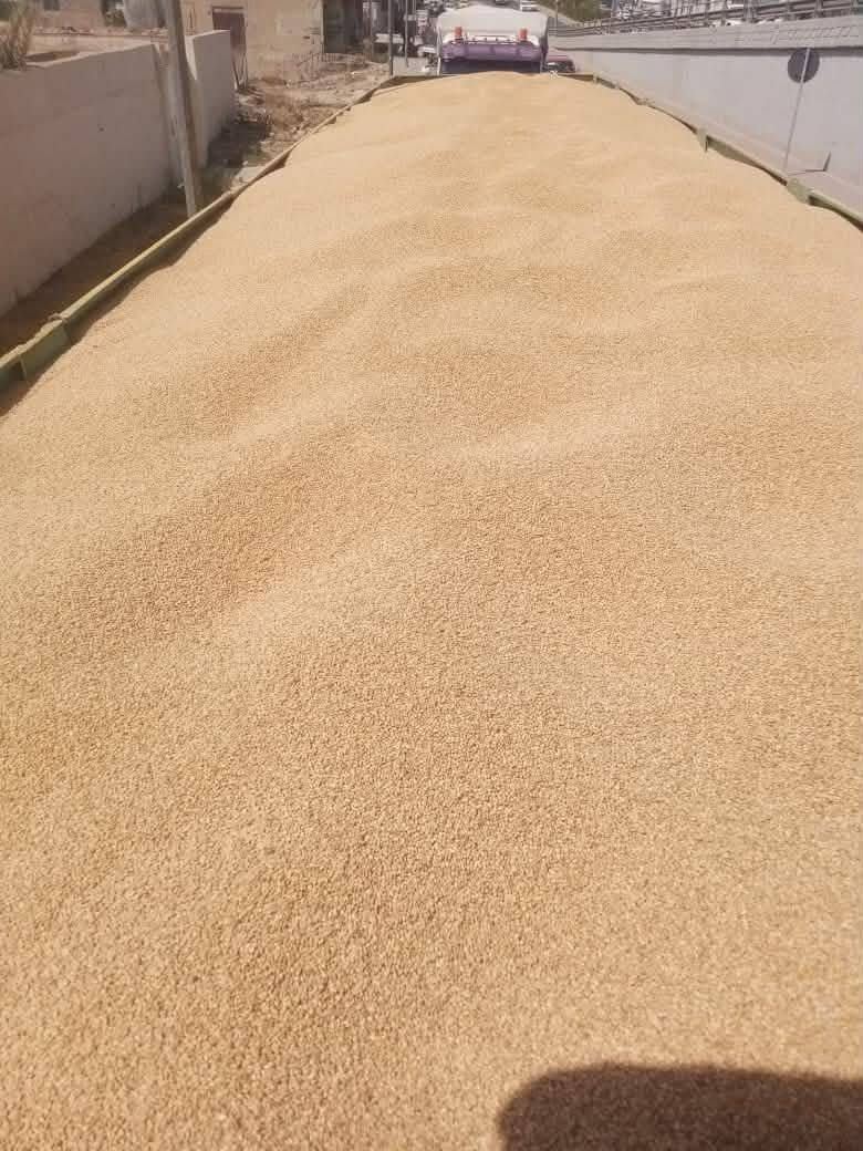 🌾 حنطة للبيع

🌾 عربية
🌾 أدنه
🌾 جيهان
🌾 وفيه

💰 السعر: 440 ألف الطن— وبي مجال بالسعر واصل للجميع محافضات العراق
🚚 توصيل لجميع المحافظات
📲 للاستفسار والطلب واتساب: *********** التواصل فقط واتساب رجاءً بدون اتصال 
، ملاحضه اللبيع فقط 35طن وما فوق

، درجه اولى،
