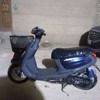 منغولي • نضيفه • شاصي مكفول