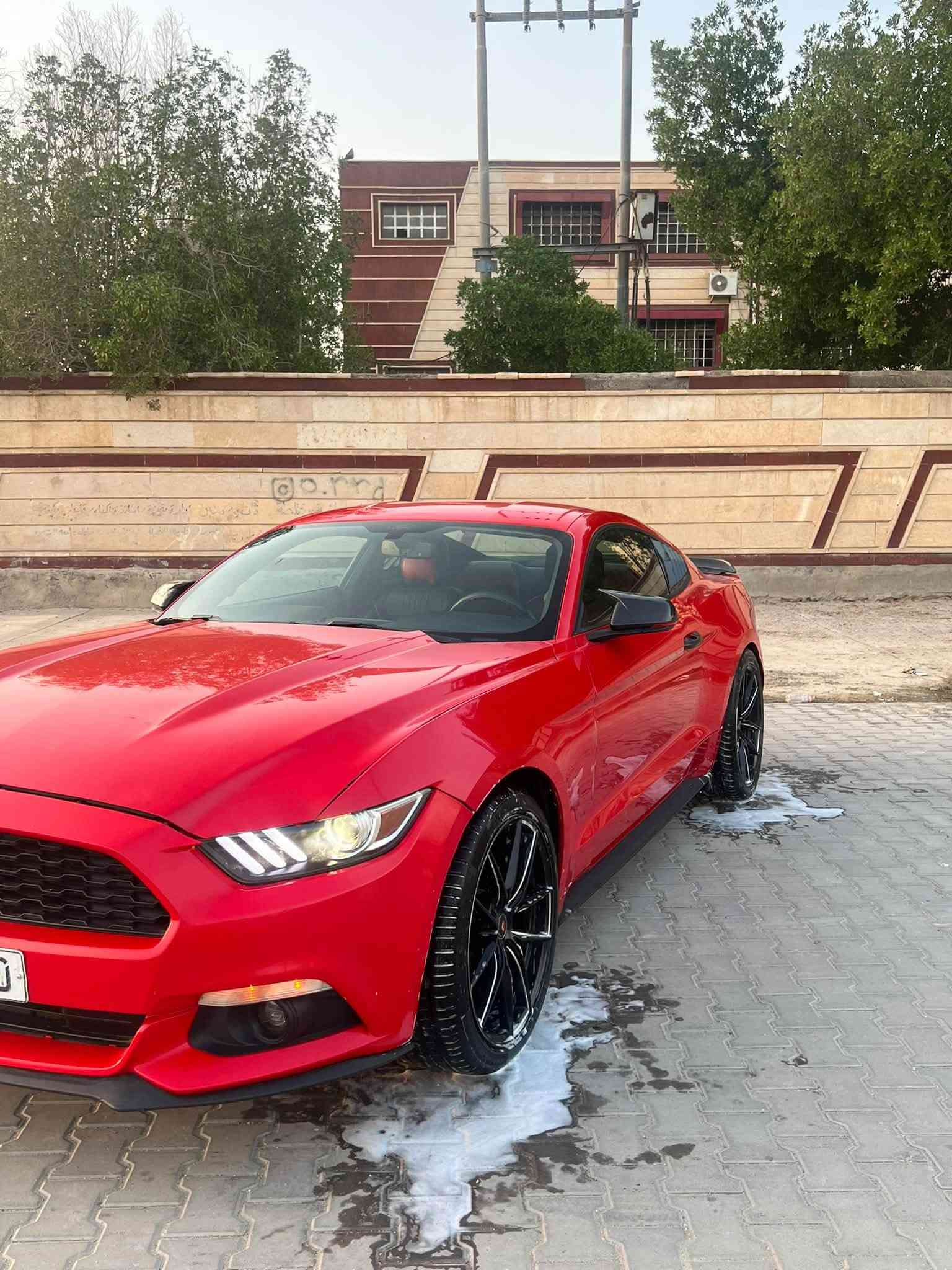 موستك • ٢٠١٧ • رقم بغداد