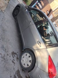 فيرسا • ٢٠١٠ • قطع صبغ
