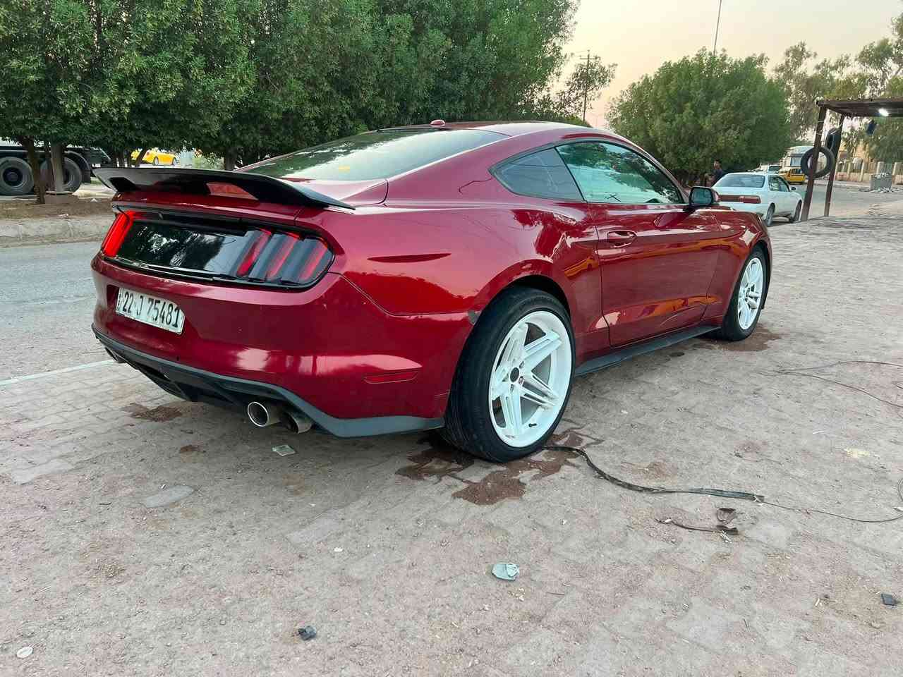 سلام عليكم موستنگ ايكو بوست موديل 16 ماشيه ٩٥ رقم اربيل سنويه ل ٢٨ جاهزه بس نقصهه تيربو گايم سعرهه ٩٥ قفل من الأخير مكاني سماوه ***********
