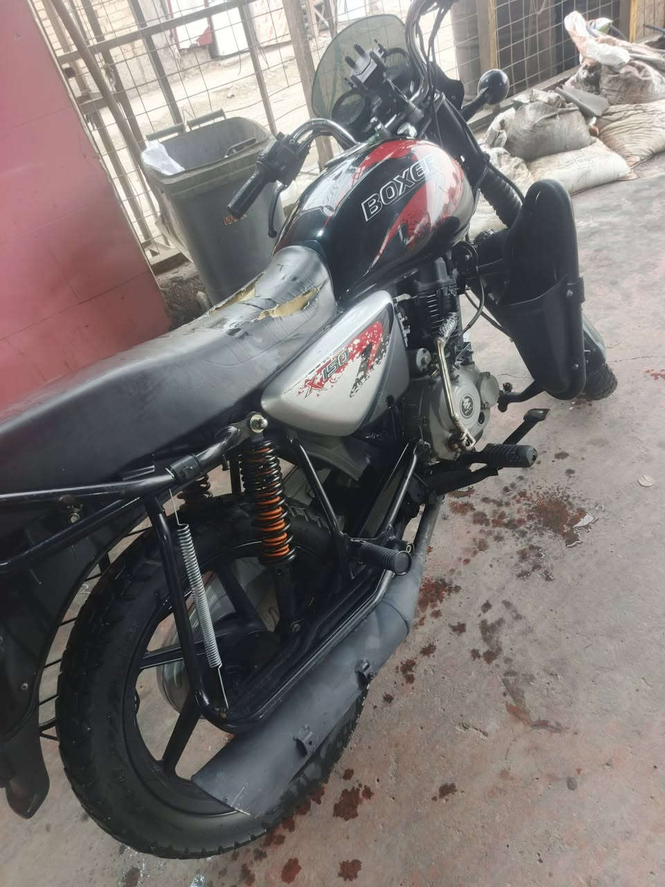 بوكسر • مرقم • ٢٠٢٣