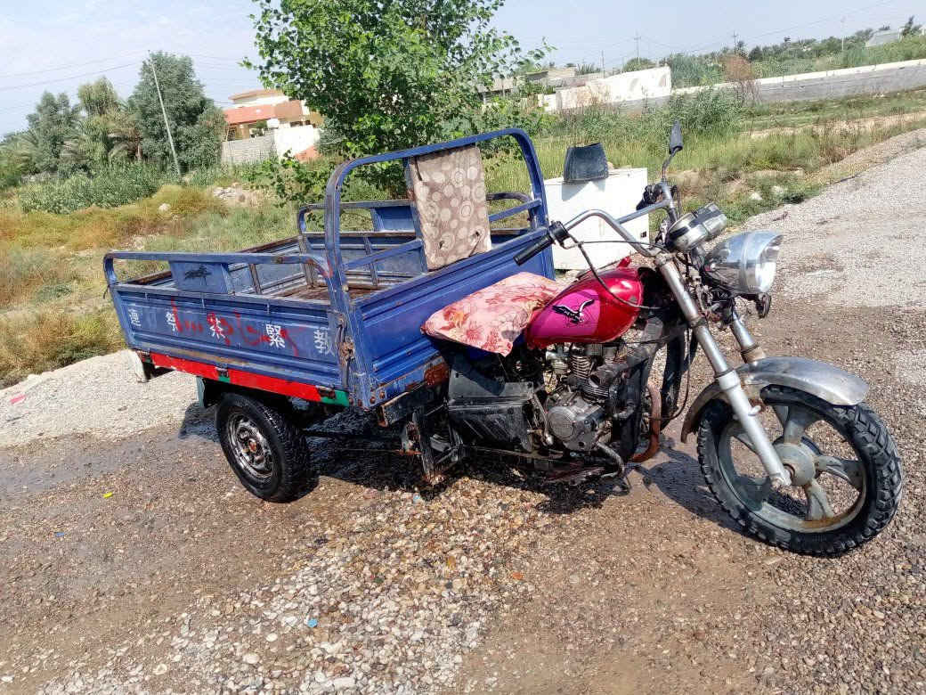موديل ١٦ • أوراق • شهربان