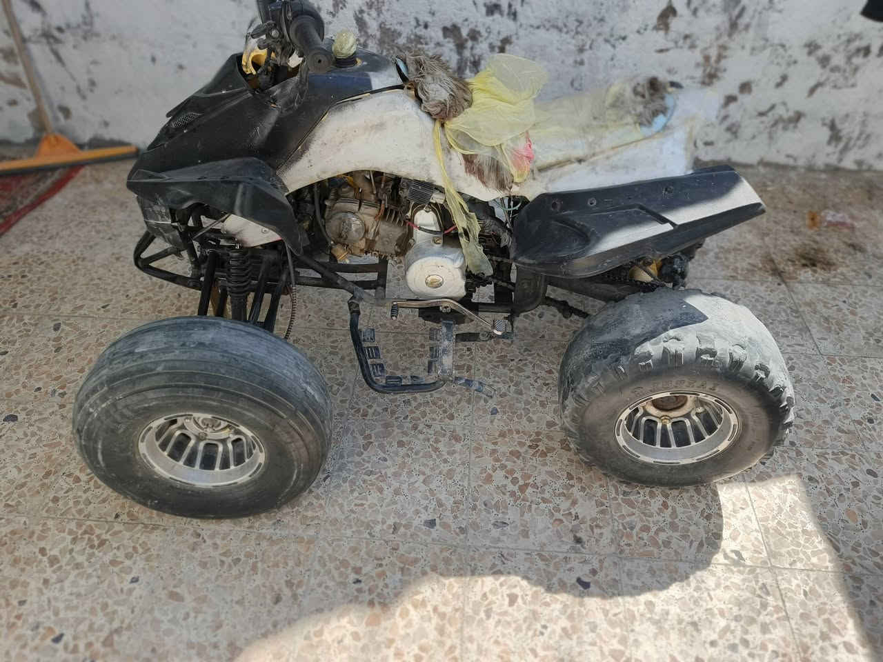 جاهزه
نكره سلف 

مكينه نظيفه 

صينيه جديده مع زنجيل جديد 

ويل كب

بريكات جدد

 

اصلي 

السعر  300 الف

وبيه قليل مجال 

بصره 5ميل

صينيه جديده مع زنجيل جديد 

ويل كب

بريكات جدد

 

اصلي 

السعر 300

وبيه  مجال 

بصره 5ميل
***********
