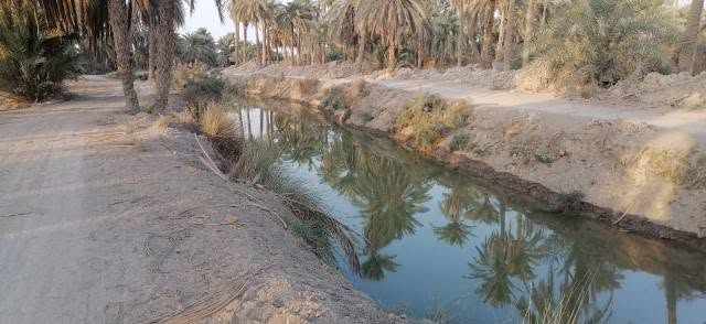 بستان للبيع مساحته 3 دونم في ناحية الفضلية وجه البستان على نهر ماء مباشرة للاستفسار ***********
