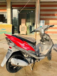 ماكس عدلة • شهر ونص • مكفولة