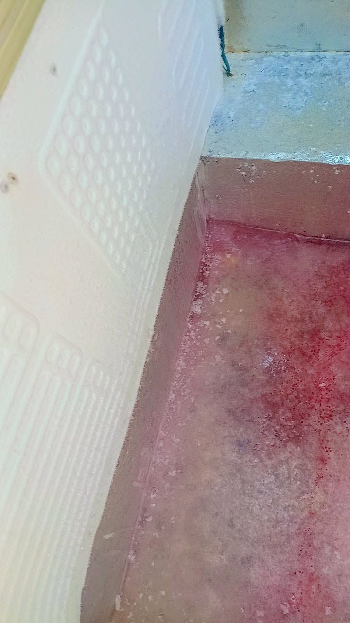 مجمدة • فول تجميد • الكوت