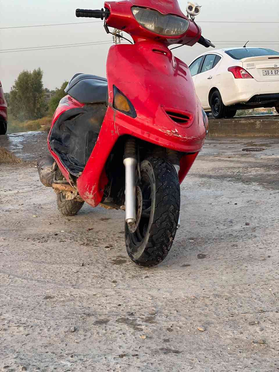 سلام عليكم فراشه فحل للبيع كامله سعر ٢٨٠مكاني حله ***********
