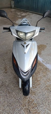 سكنس • ١٤٠ • فحل