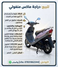 ماكس منغولي • نضيف • مكفول