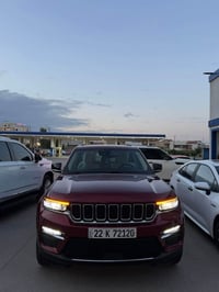 ليمتد بانوراما • جلد • ٤٠ الف مايل