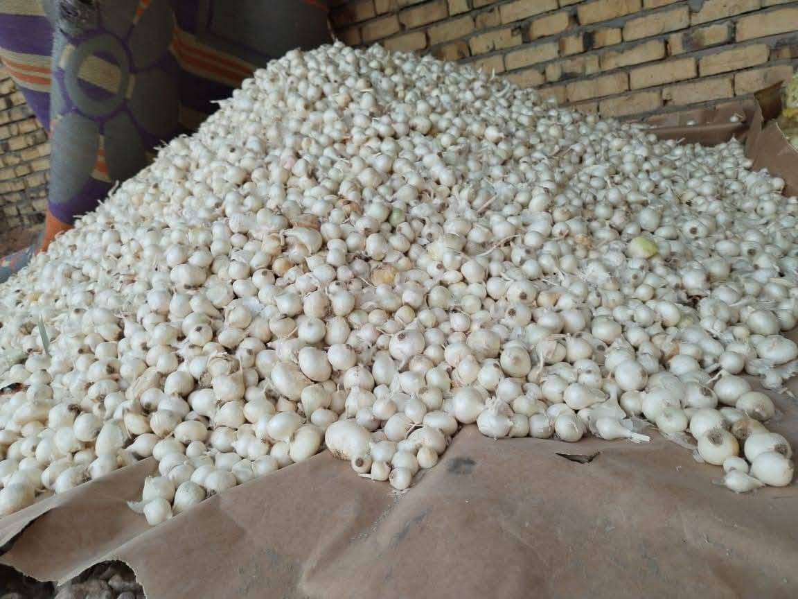 اخر حوية الي ريد يتصل انسب السعارللبيع بصل فسقة حار درجة اولة متعهد المان زيد بن علي محافضت بابل قضاء الكفل للستفسار على الرقم ***********او ***********
