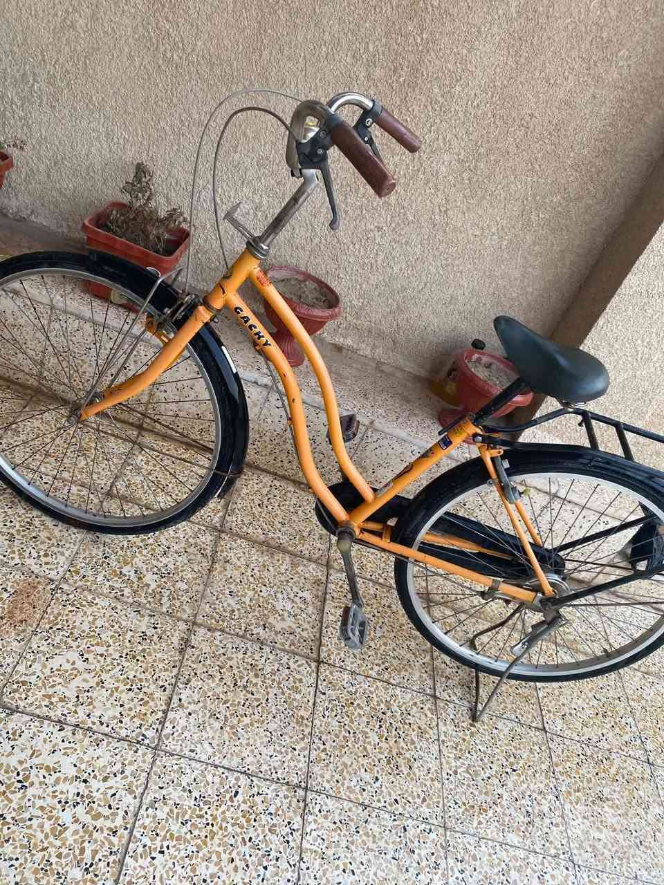 باسكل للبيع السعر ٩٠ وبي مجال كلش نظيف ***********
