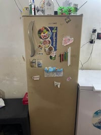 ثلاجة أسانو • ١٤قدم • النجف