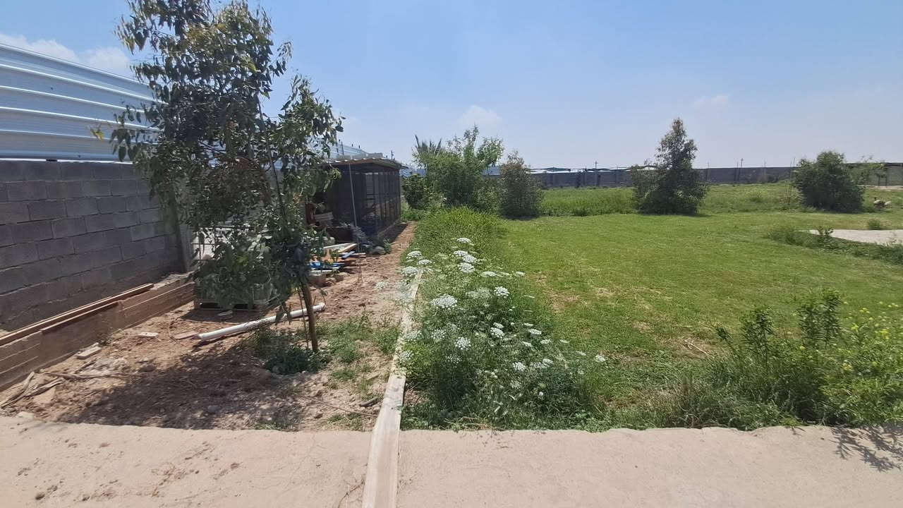 🏗️ عرض عقاري مميز: مزرعة نموذجية للبيع في جصان
​الموقع: ناحية جصان - على الشارع العام المؤدي إلى قرية الرحمانية (نهر الشعير يمر أمام الباب مباشرة).
​📐 المواصفات العامة للأرض:
​المساحة: 3 دونم.
​السند: طابو صرف (ملك صرف) باسم صاحبها الشرعي، خالية من أي ديون أو حجز.
​التسييج: مسيجة بالكامل "بلوك" مع أعمدة (دنك) كونكريتية بمسافة 3 متر بين العمود والآخر.
​الأبواب: أبواب خارجية حديد (درجة أولى).
​🏠 تفاصيل المنزل (بناء حديث 2024):
​تم البناء تحت إشراف كادر متخصص وبأعلى معايير الجودة الإنشائية:
​التصميم الداخلي: 3 غرف نوم + هول واسع + مطبخ + مضيف فخم (10×5 متر).
​الأساسات: حفر بعمق 1 متر، مع جلمود وسبيس ومحدلة، وصب أرضية (خباطة مركزية C35).
​الإنهاءات: الأرضيات بورسلين درجة أولى، والجدران سيراميك درجة أولى.
​السطح: صب مركزي، مع تغليف كامل بمادة "الآزوكام" بضمان شركة متخصصة من بغداد.
​الدرج: مرمر درجة أولى.
​🌳 المرافق والخدمات:
​الزراعة: نخل بحالة ممتازة وأشجار مثمرة متنوعة.
​الحديقة: ثيل بتصميم هندسي يحيط بالمنزل (بعرض 10 أمتار من جميع الجهات).
​الثروة الحيوانية: توفر "محاصير" مبنية من البلوك مخصصة للحلال.
​الخدمات: كهرباء نظامية (حكومية)، وقرب المدارس (المدرسة الابتدائية تبعد 150 متر فقط).
​الأمن: منظومة كاميرات مراقبة تغطي كافة جوانب المزرعة.
​📞 للاستفسار والتواصل:
​يمكنكم زيارة مكتب عقارات محمد الواسطي أو الاتصال عبر الأرقام التالية:
​واتساب / اتصال: [***********]
​اتصال: [***********]
​مبدأنا: الشفافية التامة؛ لا نتعامل برفع الأسعار، وهدفنا هو الجمع بين البائع والمشتري بالعدل.
لسنا الوحيدين.. ولكننا الأفضل.
