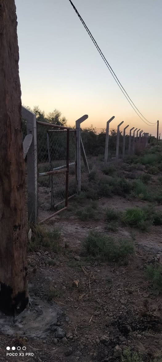 سلام عليكم مرخصت الادمن 
دونم للبيع طابو زراعي سند 25 مكانه - كوفه - ناحيه العباسيه -
 خلف بانزين خانه جوهرة النجف الي هية تصير مقابيل جسر العباسيه من تعبره للصوب ثاني بنزله الگمبري 
مسيجه بي ار سي وبيها اساس 260 متر . كهرباء + ماء بيها + بير 
سعر الكاع 45  وبيها مجال للشراي الخاص مفتوح 
وهذا الرقم *********** متواجد واتساب
