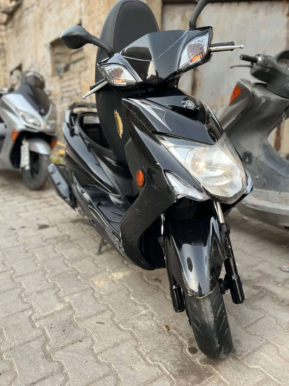 سكنس • مكفولة • وارد كوري