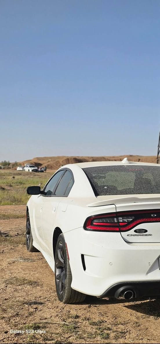 جارجر 2019 ابيض جي تي سوبر تراك
كلين تايتل مكفوله من لبارد وصبغ كفاله عامه
مكينه3.6 
ماشيه 73mi
رقم اربيل هزه جديده تحويل او وكاله ب اي وقت
سنويه نافذه لل2031
سعر 🔻250$ 🔻
مكانها بغداد الحسينيه قرب البوابه 
***********
