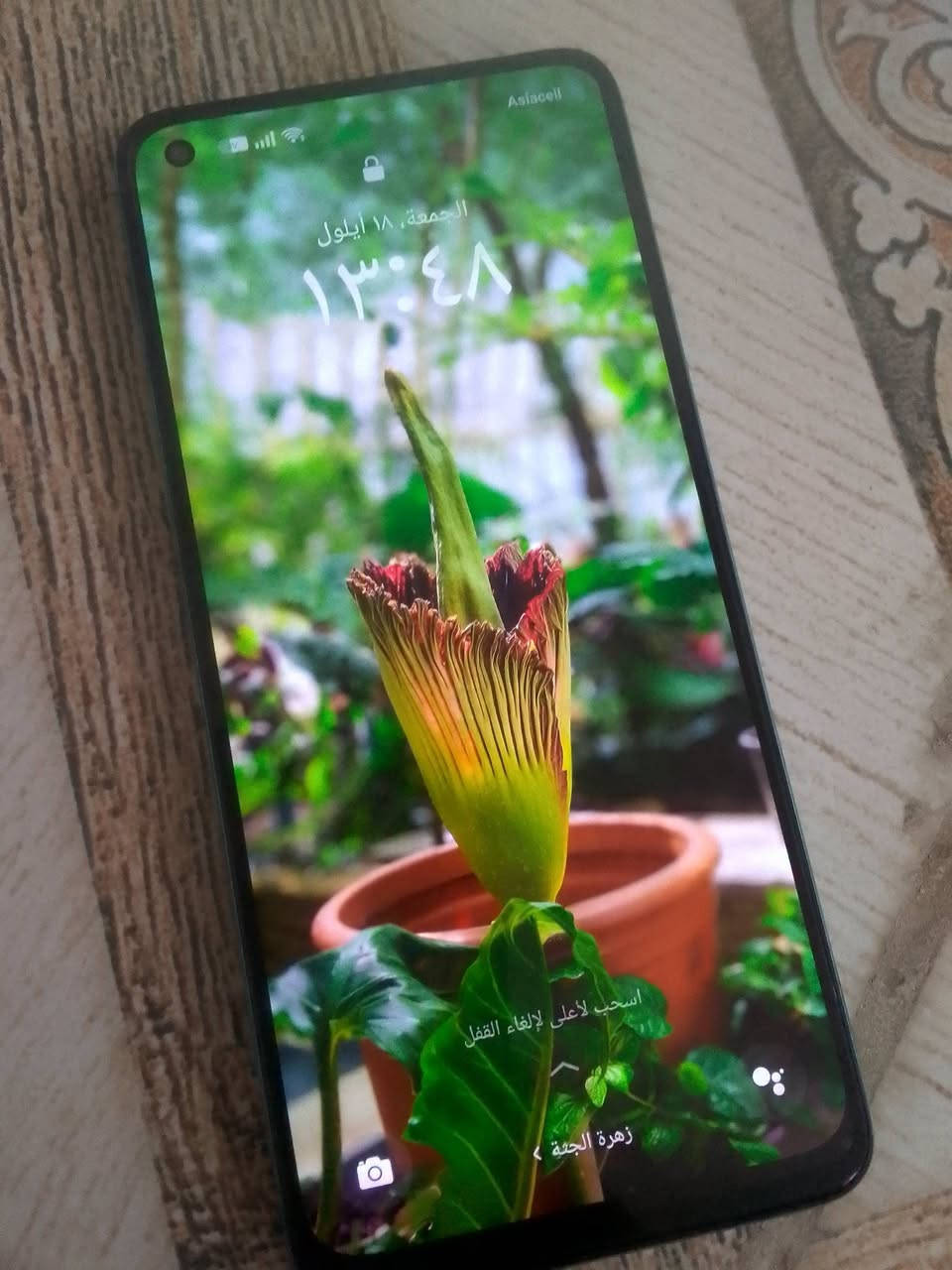 لا توجد تفاصيل

نص مكتوب في الصور:
- كروب موبايلات 📱 بيع وشرا كلشي وكلاشي ... مجموعة عامة ابو أمير التميمي ابواميراتميمي الأشخاص الموقع شعور/نشاط الألبوم سلام عليكم عندي مبايل البيع جديد استعمال كلش قليل اسمه اوبو اي 78جهاز راقي كلش خفيف صوته عالي على الفحص مداخل تصليح مستعمل كلش قليل سعره 200الف بي مجال قليل مكاني الزعفرانية يم عمارات سعيده***********بس الشراي يراسني إضافة وسائط 3+ إضافة مجموعات نشر