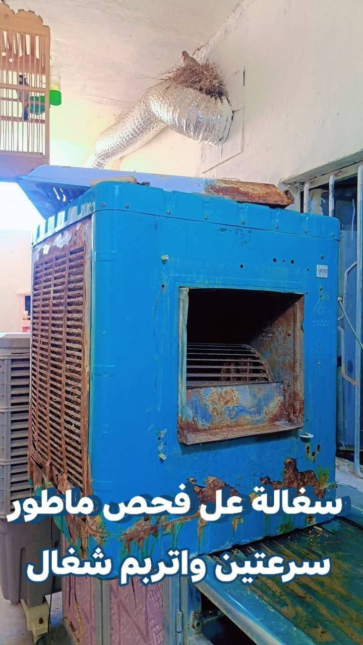 كلمن وسعرة مكاني المحمودية حي المرتظى
***********
***********
