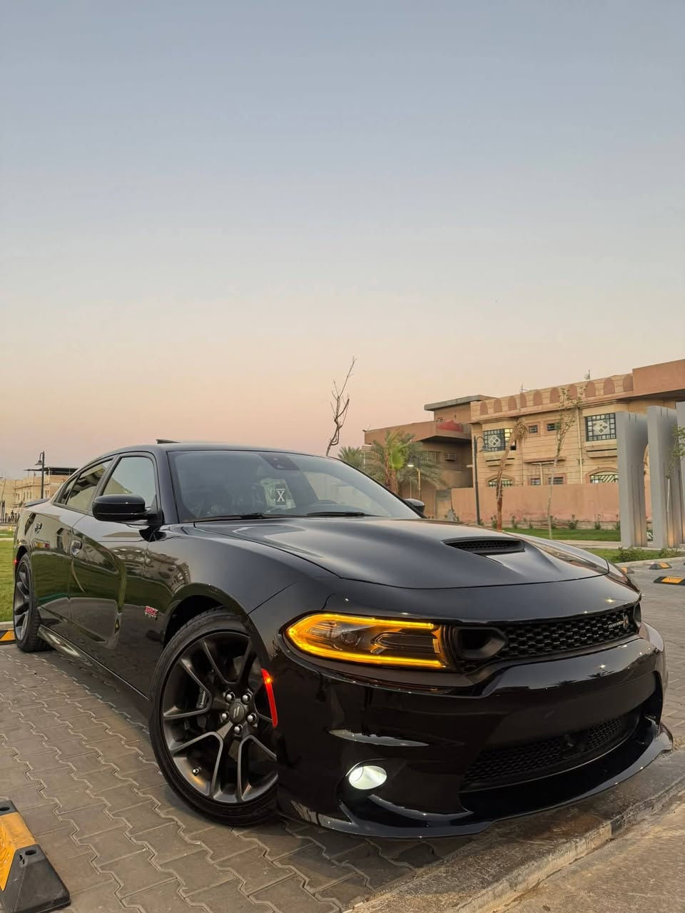 جارجر سكات باك 2023  6.400  last call  ماشية 10 الالاف مايل فول مواصفات رقم بصرة مميز
فتحة سقف رادار امامي وجانبي وخلفي مع ترحيب بالمرايا الجانبية كشنات كنتارة وجلد تدفئة وتبريد والاستيرن تدفئة والكشنات خزن ميموري والدشبول جلد والاكسل قفل والدسكات برمبو 6 بستم وباقي مواصفات الجارجر معروفة
السيارة مفتوح عقلها ومبرمجة سيفتي وعليها ولف حماوة 82 ريسنك والسرعة مفتوحة 300  km
الحادث بس بنيد مبدل 
ومن فحصناها طلع بيها جاملغ الخلفي والتكمة بيها بس صبغ بدون معجون ولابارد والجاملغين الاماميات واحد كلير والثاني بي صبغ كله من امريكا كلير بدون معجون شرط
السيارة بدون ايرباك ولافخذة ولاحدادية ولاشواصي
جارجر سكات باك 2023  6.400  last call  ماشية 10 الالاف مايل فول مواصفات رقم بصرة مميز  
السعر ٢٧٠
***********
