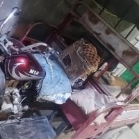 ستوته سلطان • بدون اوراق • المجر الكبير