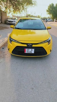 كورلا امريكي • مكفوله • ٢٠٢٣