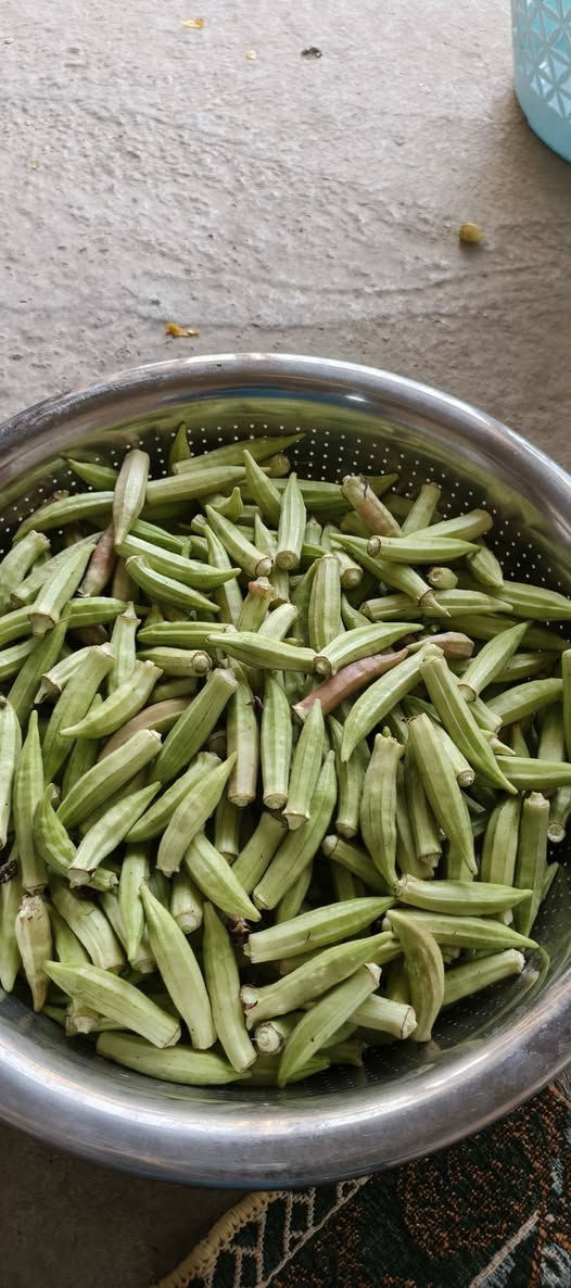 السلام عليكم
بانيه درجه اولى 9 كيلو حوش الصبح سعر الكيلو 3 الناعمه   الخشنه 5 كيلو سعر الف   موقع طوريج الاستفسار ***********
