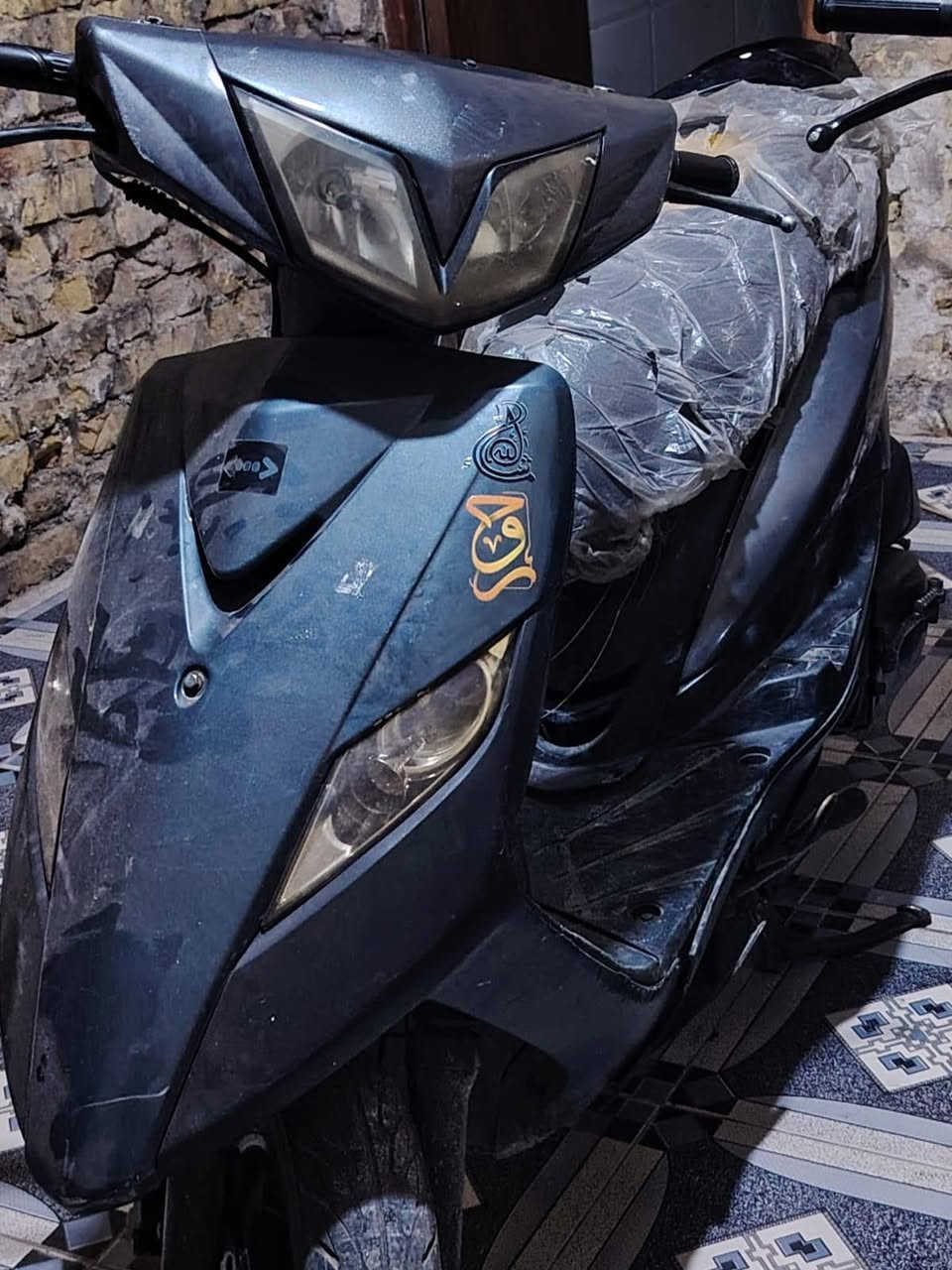 سكنس ثعلب للبيع سعر 600 او بيها مجال قليل *********** بي وتساب
