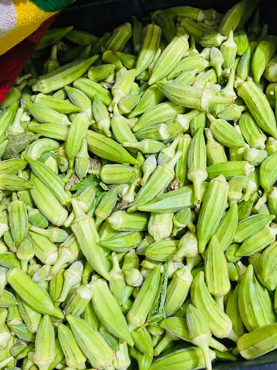 برز بانيه • للبيع • بابل