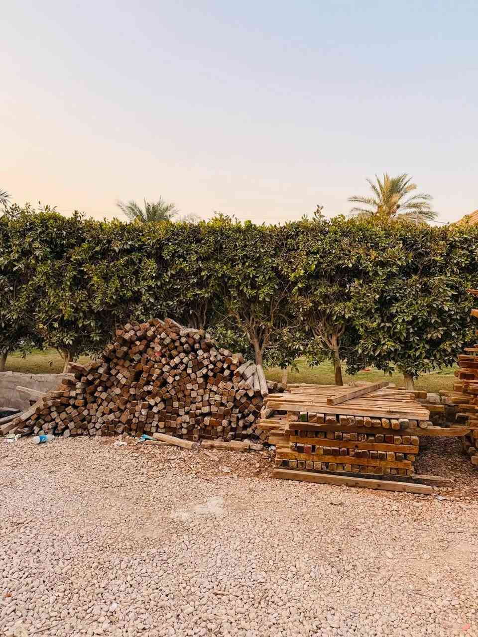 جكات للبيع طول 4 متر عدد 97 وطول 5 متر 155 وسير 7*7 طول متر + متر ونص + 70_80 بسعر مناسب مكاني بابل تواصل ***********
