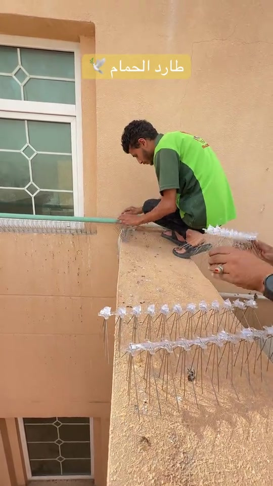⁨	طارد حمام  للحجز او الاستفسار يرجى مراسلة الصفحة او الاتصال  ***********/*********** تتوفر خدمة توصيل 🚚  #طارد_الحمام #طارد_الحمام_من_الشبابيك_والاسطح #طارد_حمام #طارد_الطيور #المنزل⁩⁩
