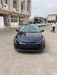 ٢٠٢٤ • بدون صبغ • بدون ايرباك