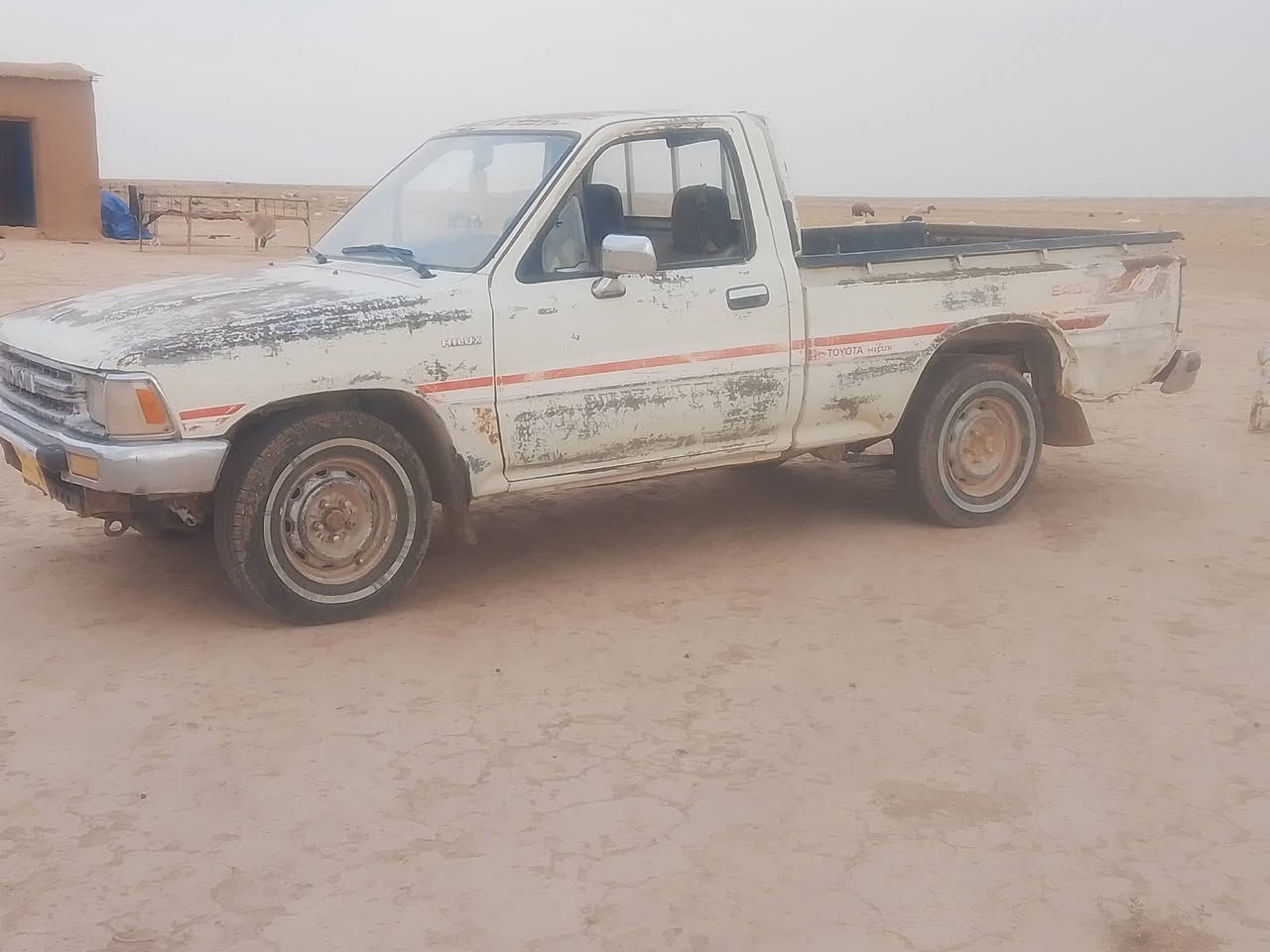 بيكب • ١٩٨٩ • رقم صلاح الدين