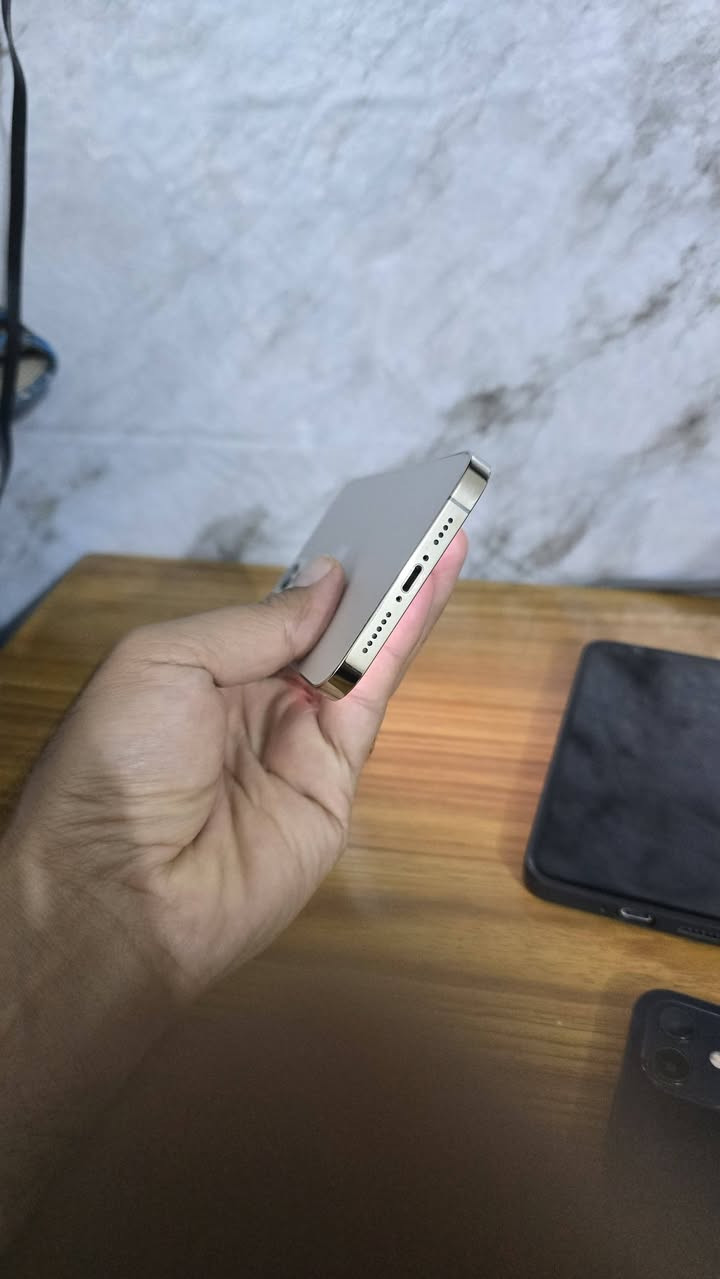 سلام عليكم ايفون ١٢ برو ماكس شرق أوسط ماستر AAA  مكفول من كلشي كله شغال بطاريه ١٠٠ مبدل اصليه جهاز كلش نضيف ذاكرى ٢٥٦ السعر ٣٨٠ الديوانيه الجلبيه  ***********
