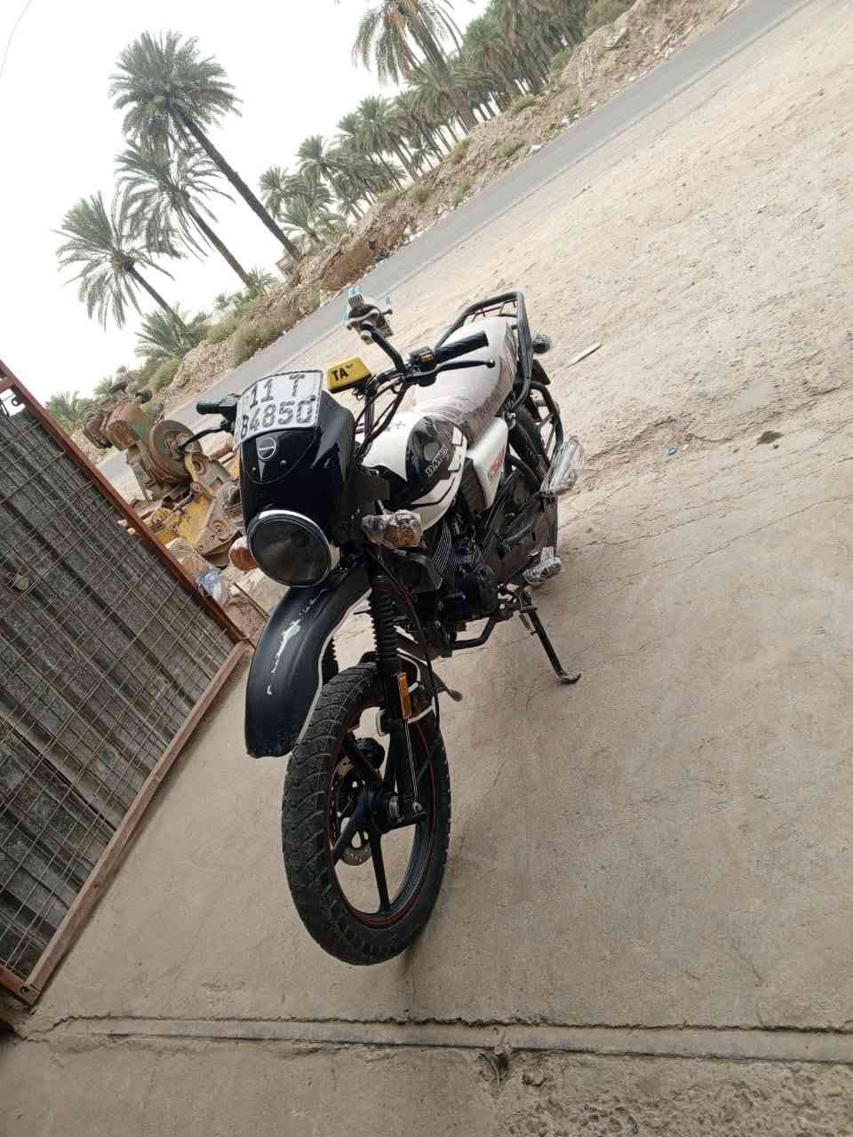 ديوان • مرقم • موديل ٢٠٢٣
