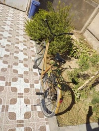 باسكل • واتساب