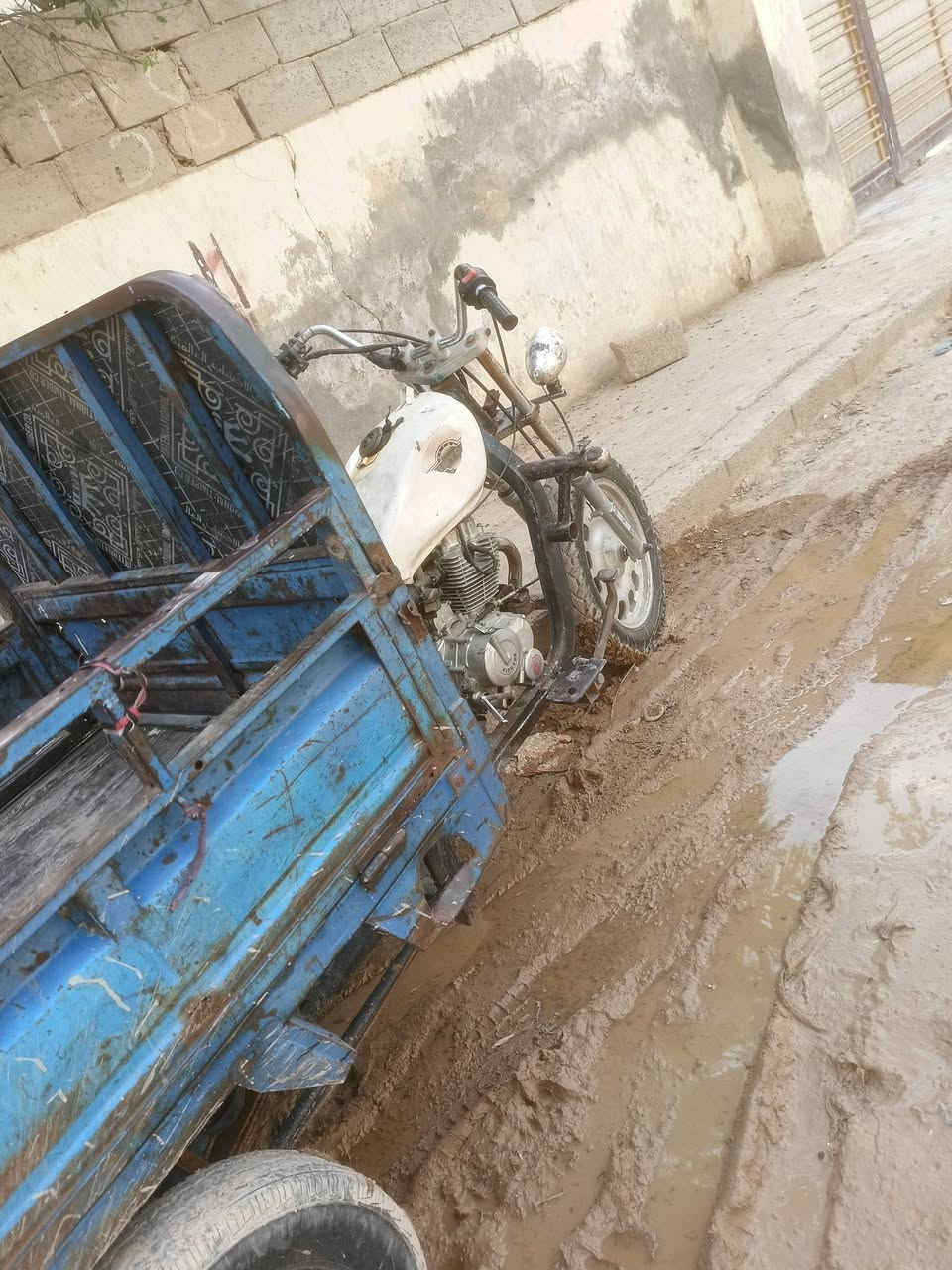 ستوته • موديل 17 • ديالى