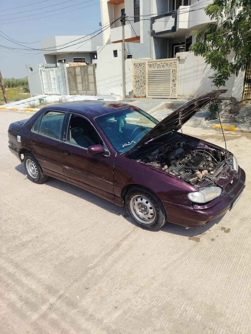 مراوس حسب القناعه ***********
