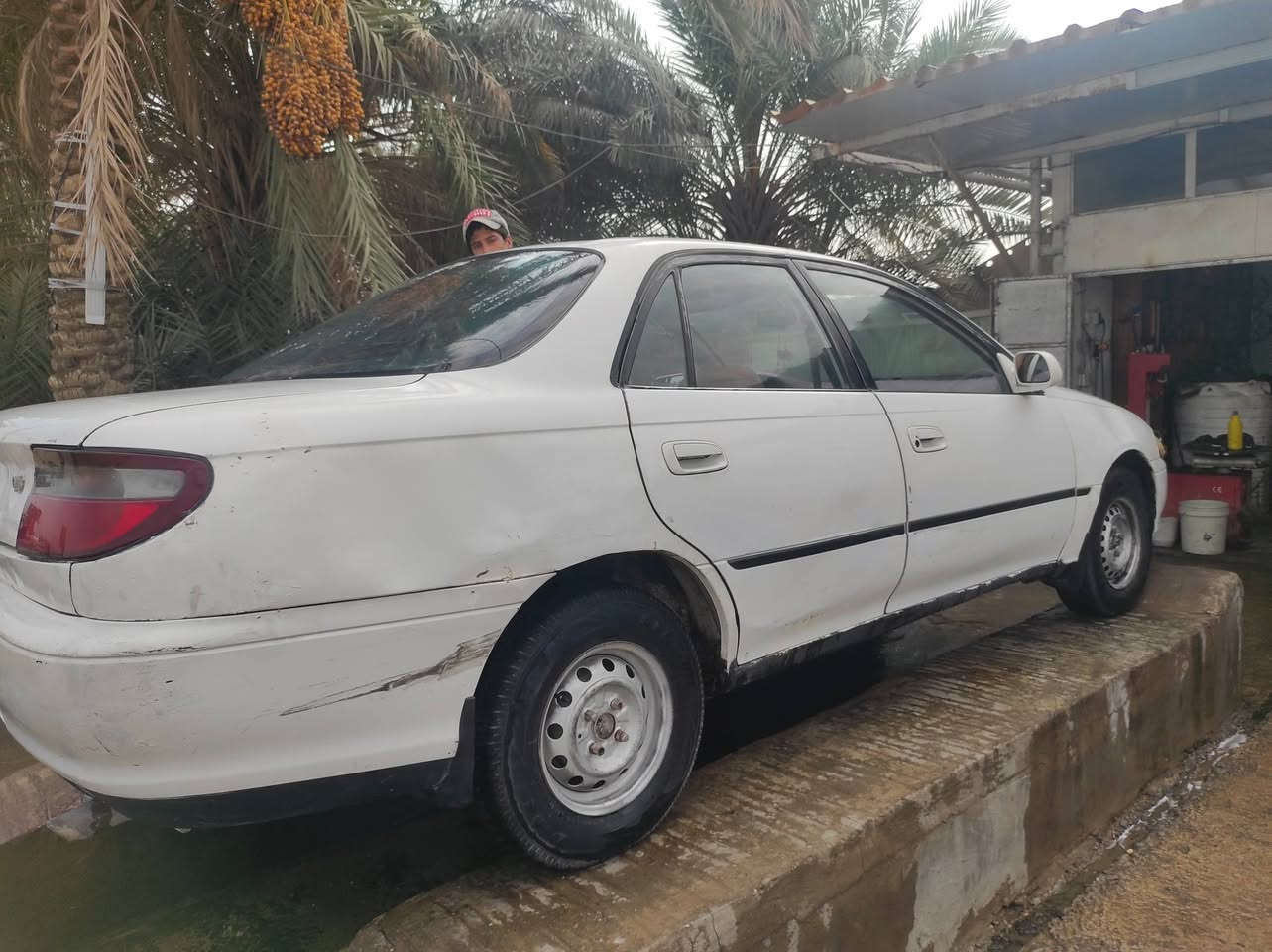 السلام عليكم كارينا موديل 93 رقم ديالي سنويه صاقطه بل 2021 سياره حلوه مال جناي مكينه 1800 كير كله جديد شرط لا تبخير ولا تنقيص شرط كفاله شاشه كهربائيات كله شغاله مكانه نجف للاستفسار    ،***********
